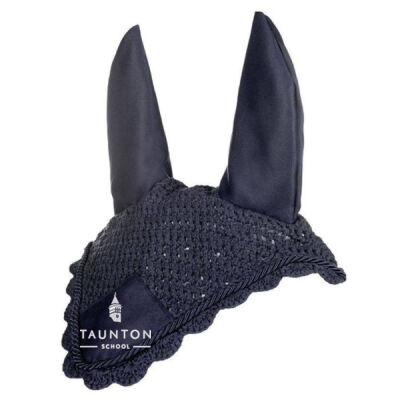 Taunton School Fly Veil Thumbnail